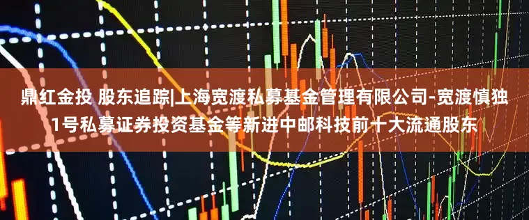 鼎红金投 股东追踪|上海宽渡私募基金管理有限公司-宽渡慎独1号私募证券投资基金等新进中邮科技前十大流通股东