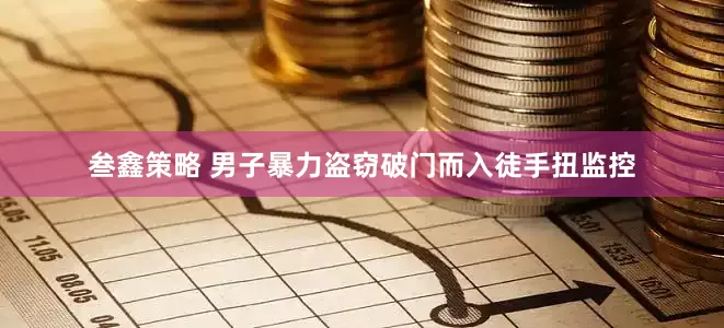 叁鑫策略 男子暴力盗窃破门而入徒手扭监控