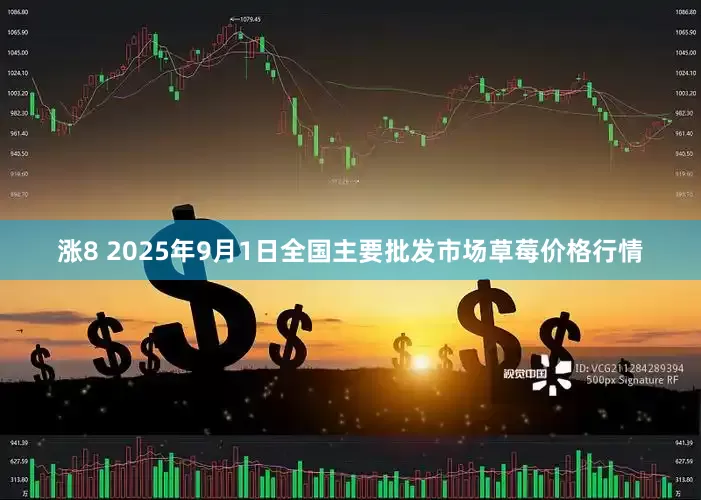涨8 2025年9月1日全国主要批发市场草莓价格行情